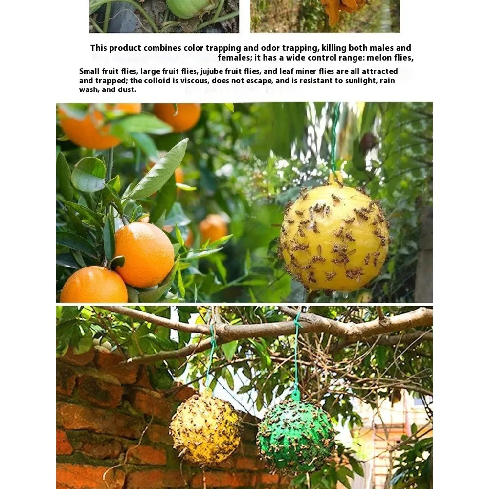 Principe de fonctionnement du piège à mouches du fruit