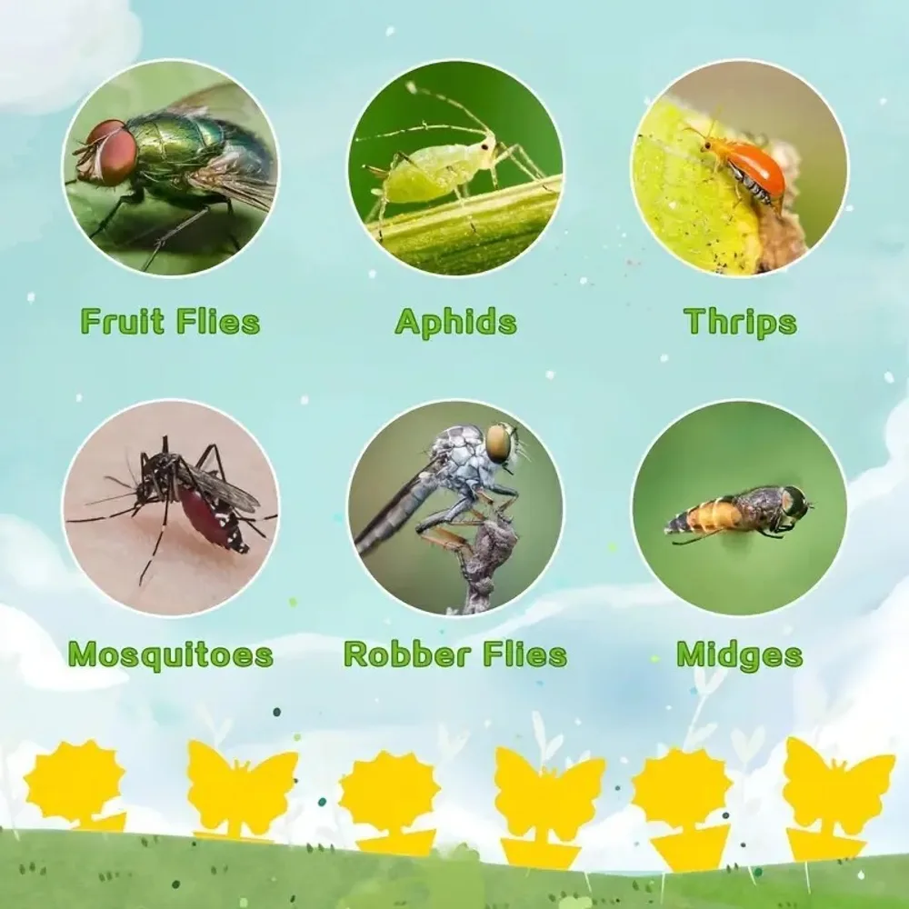Nuisibles ciblés par le piège engluée jaune