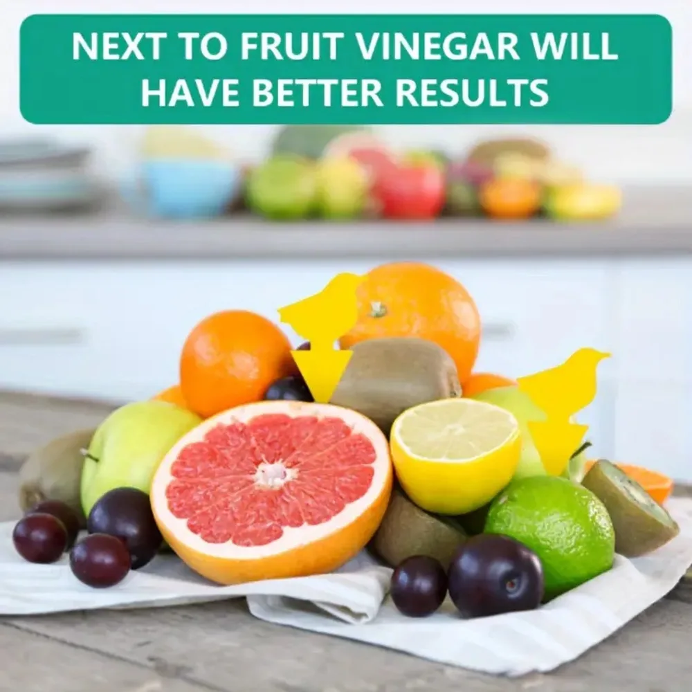 Astuce du vinaigre de fruit pour renforcer le piège