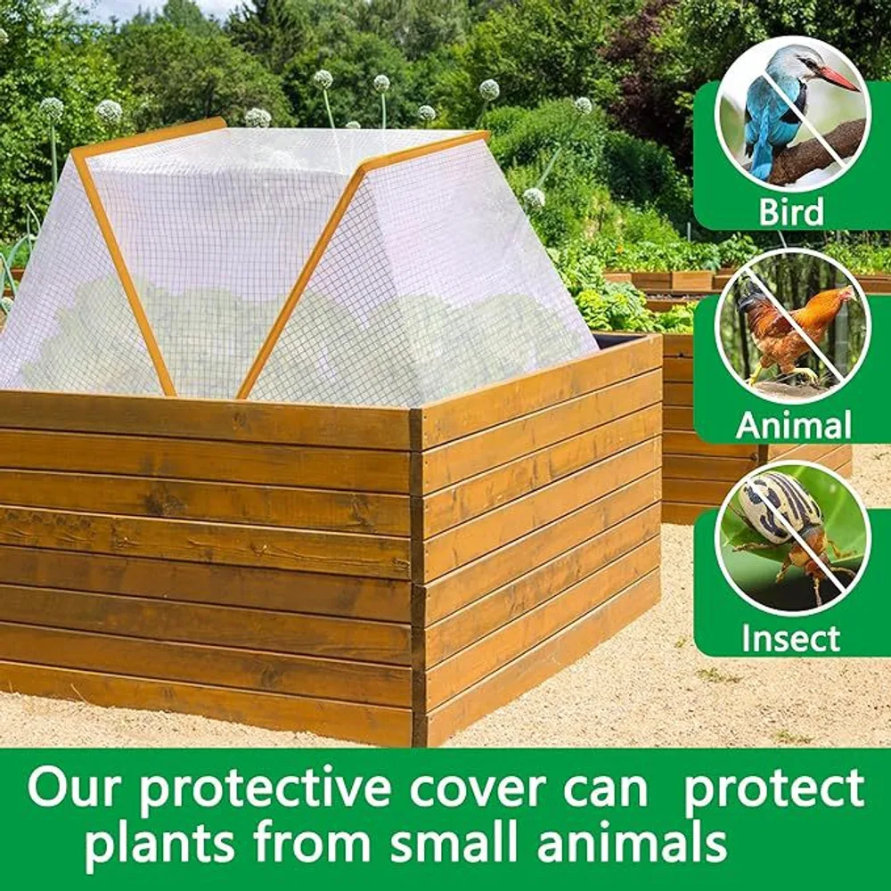 La cage protège contre les oiseaux, animaux et insectes